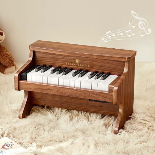 TERENCE Kids Piano, 25 Keys, Toddler Mini Piano Music Educational Instrument Keyboard Piano, Wood Baby Piano