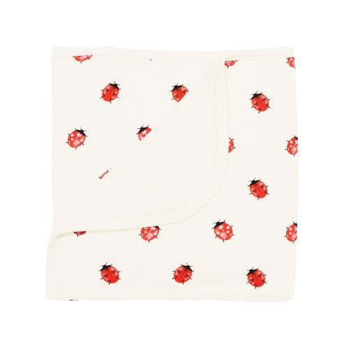 Baby Blanket in Love Bug