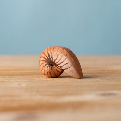 Spiral Shell