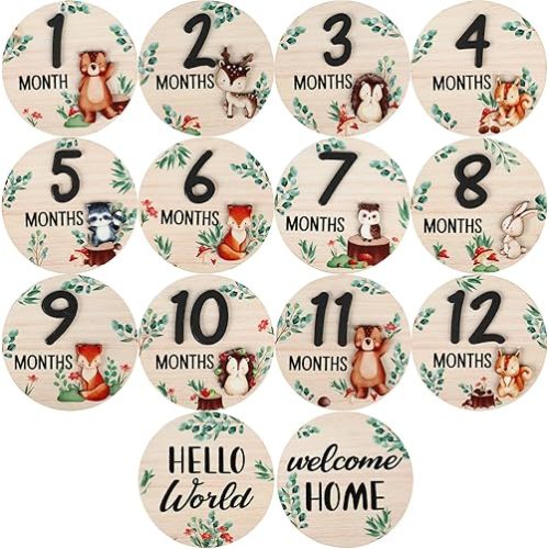7 Pcs Baby Monthly Milestone Marker Discs Woodland Animal Monthly Milestone Wooden Discs Double-Sided 3D Baby Growth Sign Cards for Babies Photos Announcement Sign, 1-12 Months