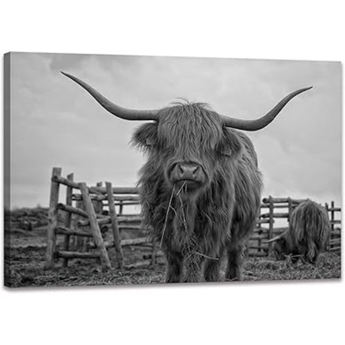 Highland Cow Wall Art Black and White Canvas Picture Animal Poster Framed Art Wall Decor for Living Room Bathroom (20x30 inch)