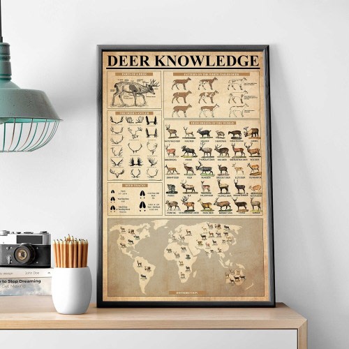 Deer Knowledge Vintage Poster, Type Of Deer Print, Reindeer Knowledge, Deer Breed Hunting Lover Art, Deer Home Decor, Gift For Deer Lovers