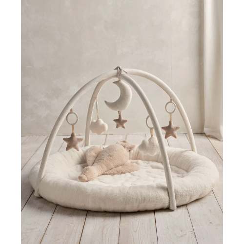 Playmat & Gym - Welcome to the World Duckling