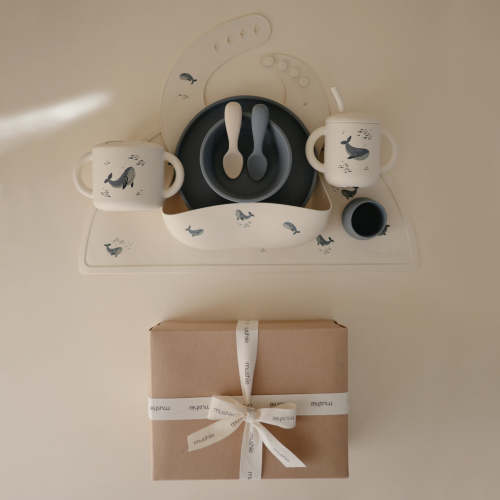 Deluxe Whales/Tradewinds Feeding Kit