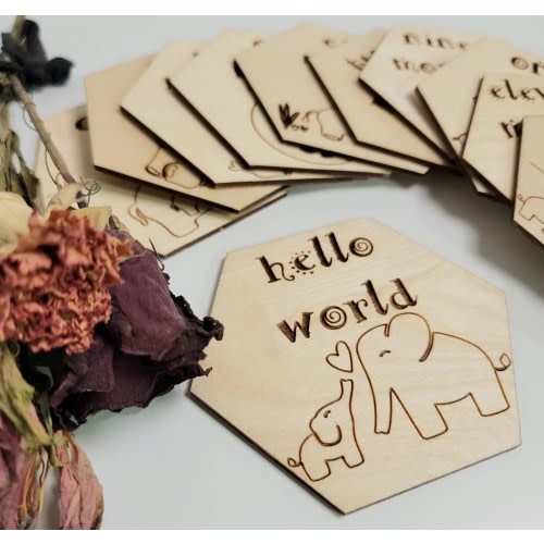 Baby milestone photo props - Elephant themed hexagons