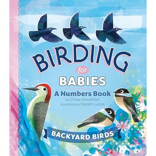 Birding for Babies: Backyard Birds: A Numbers Book