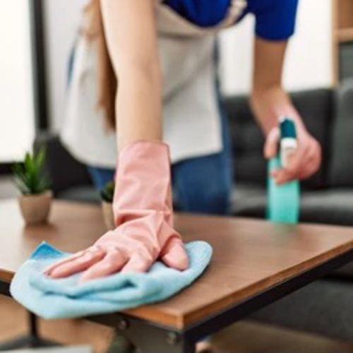 House Cleaner