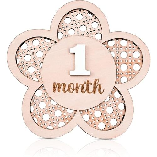 Baby Monthly Milestone, Wooden Baby Milestone Signs, Monthly Milestone Wood Discs, Baby Milestone Discs, Baby Photo Props Cards Interchangeable Number Set of 12 for Baby Growth Recording (Lattice)
