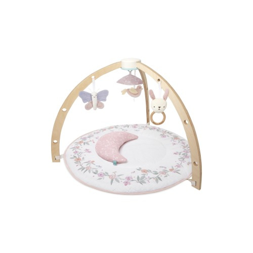 aden + anais Play & Discover Baby Activity Gym, Ma Fleur Pink