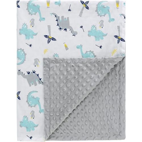 Baby Blanket for Boys Girls Soft Micro Fleece Kids Baby Blanket Throw Blanket with Dotted Backing Shower Gifts 40x30 Inches (Dinosaur)
