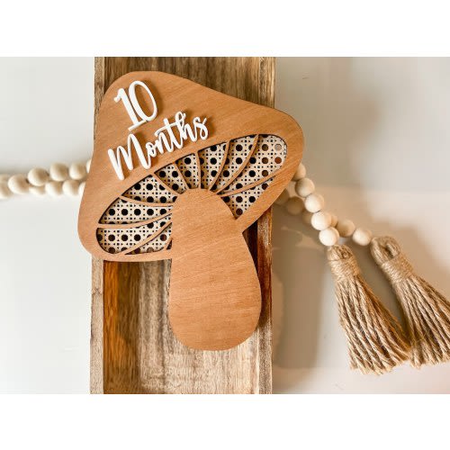 Mushroom milestone, milestone set, milestone photo prop, newborn photo prop, boho mushroom, rattan mushroom for photos, monthly photos