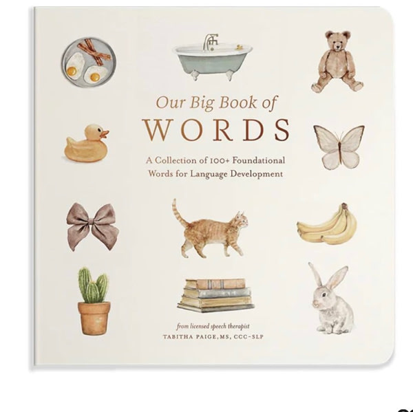 Our Big Book of First Words: A Collection of 100+ Foundational Words for Language Development (Tabitha Paige Children's Book Series)
