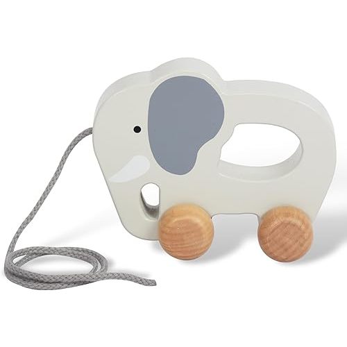 Baby Toys Car,Wooden Pull Along Toddler Toy, Developmental Toy for 1 Year Old Girl Boy Birthday Gift