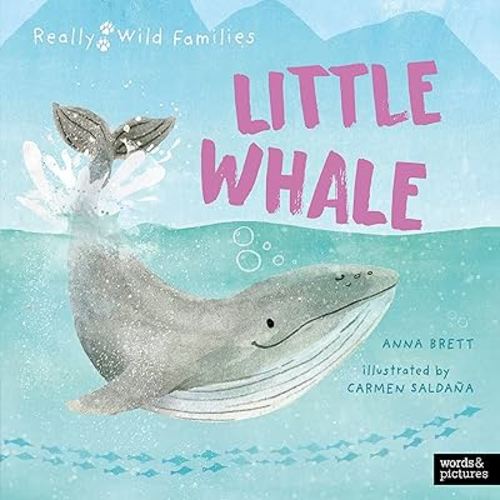 Little Whale: A Day in the Life of a Whale Calf (Really Wild Families)