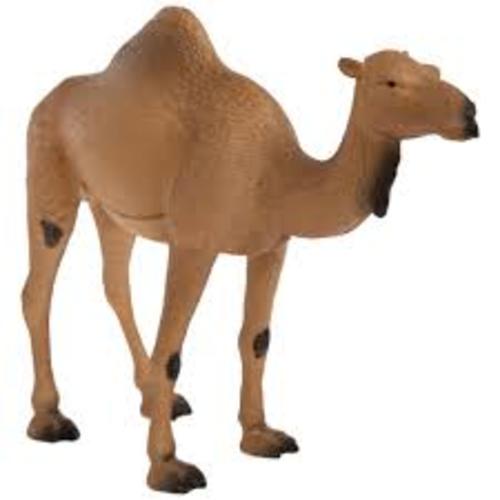 safari ltd camel hobby lobby - Google Search
