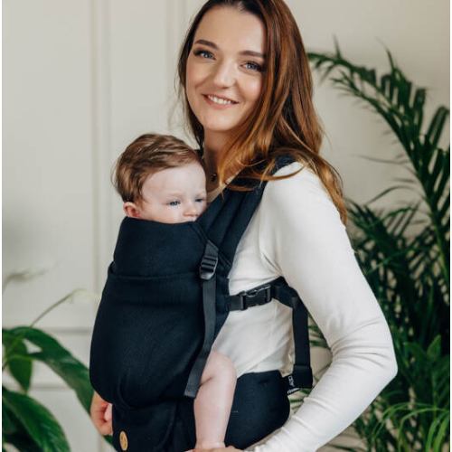 LennyLight Carrier