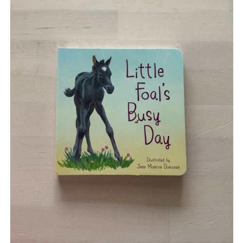 Book- little foal's busy day – Bridle Up Hope Shop