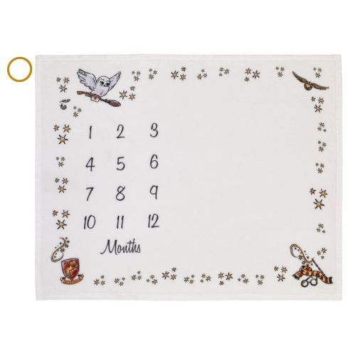 Warner Brothers Harry Potter Magical Moments White and Gold Milestone Baby Blanket