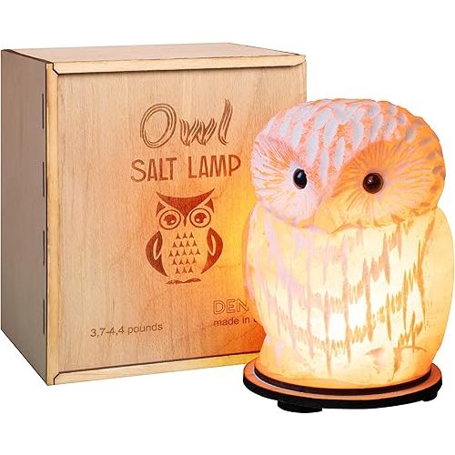 Owl Crystal Salt Lamp H 6.7”, 4.4 lbs - Pure Natural Rock Salt – Unique Night Light Lamp - 1 Light Bulb as a Gift - Wooden Present Box - Holiday Gift Ideas - Cool Room Décor