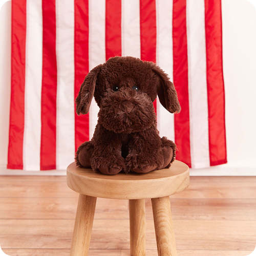 Chocolate Labrador Warmies | Microwavable Chocolate Labrador Warmies Stuffed Animal | Warmies USA
