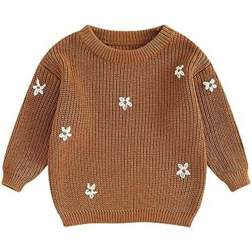 Infant Toddler Baby Girl Knit Sweater Long Sleeve Floral Embroidery Pullover Sweatshirt Warm Fall Winter Clothes