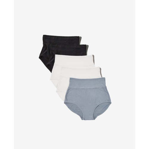 Bodily All-In Panty Multi Pack for Postpartum & C-Sections (Medium)