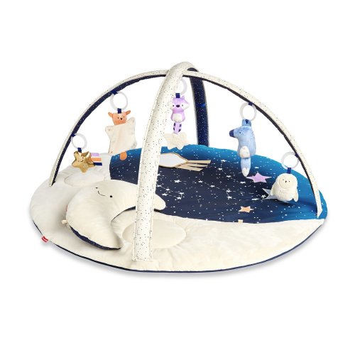 Skip Hop Celestial Dreams Activity Gym