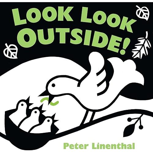 Look Look Outside Board book – Picture Book, June 14, 2012