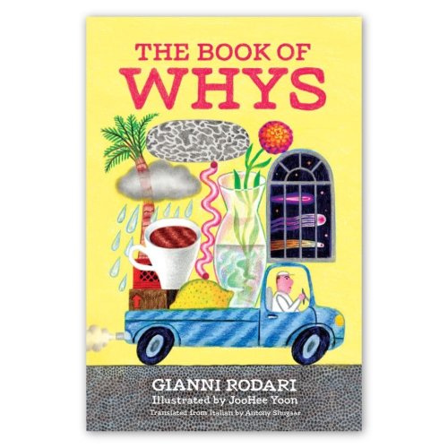 The Book of Whys — Enchanted Lion Books