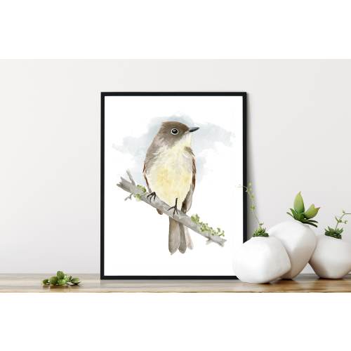 Phoebe Bird Watercolor Print: Original Art Wall Decor