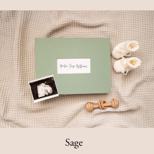 The Short Years Baby Book — To Document Baby’s First Year
