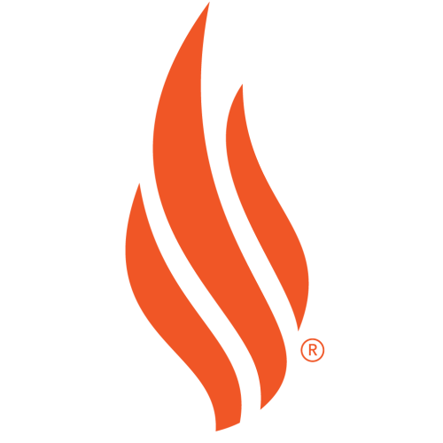 Books – Word on Fire