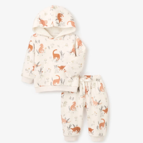 Dinosaur Organic Printed Fleece Hoodie + Jogger Set – Elegant Baby