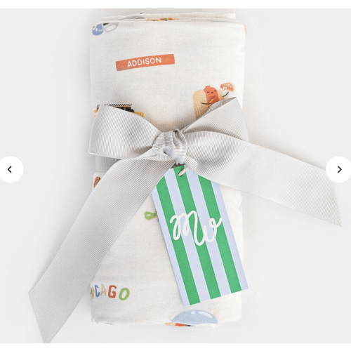 Chicago Field Trip Swaddle