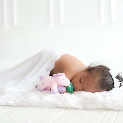 Nookums Paci-Plushies Pacifiers
