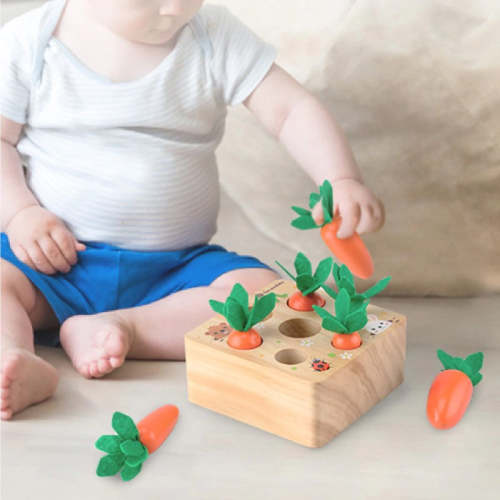 Harvesting Carrot Montessori Toy