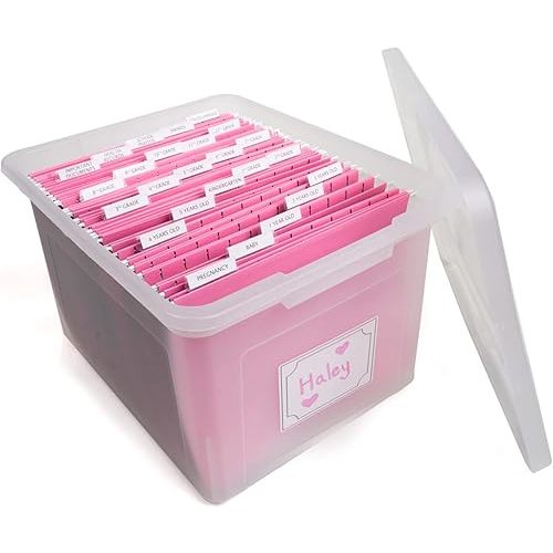 Kid's Craft Memory Keepsake Organizer Box - Clear Storage Latching Bin with Hanging File Folders and Custom Tab Inserts (Pink)