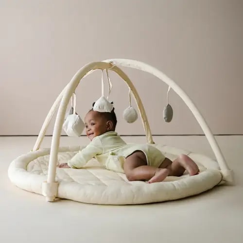 Play Gym