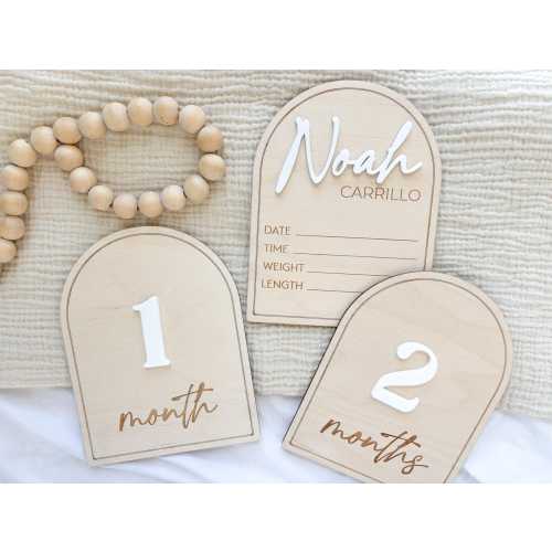 Interchangeable Monthly Milestone Markers, Baby Name Sign, Monthly Milestone Cards, Baby Photo Prop, Newborn Photo Prop, Baby Announcement