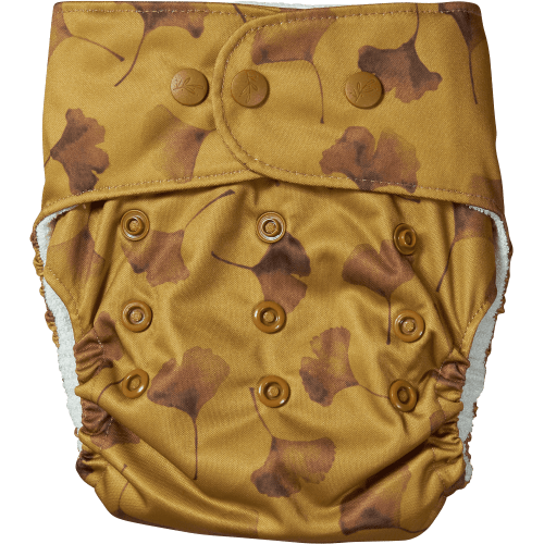 Natural Snap-In - Ginkgo