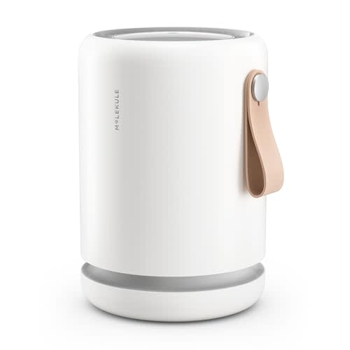 Molekule Air Purifier Mini+ - Purifies Rooms Up to 250 Sq Ft - Smart Purifier with High Pollutant Capture Rate - Air Quality Monitoring Capabilities - White
