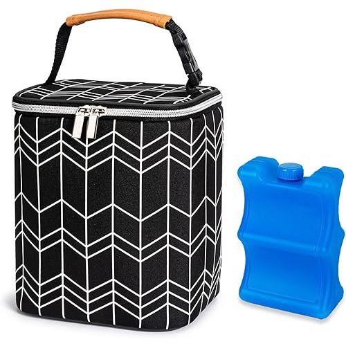 BreastMilk Cooler Bag with Ice Pack Fits 4 Baby Bottles Up to 9 Ounce, Baby Bottle Bag Fits for Nursing Mom Daycare, Black