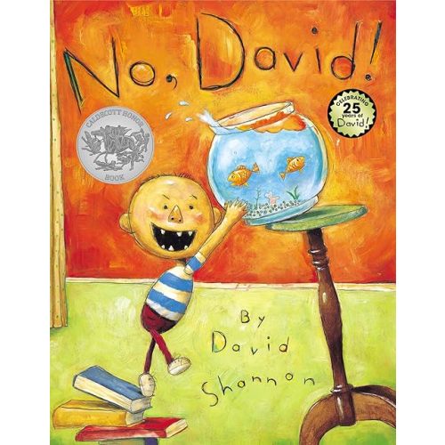 No, David! Hardcover – Picture Book, September 1, 1998