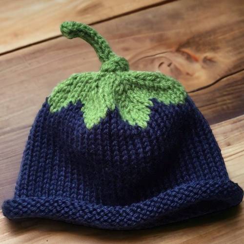 Blueberry Baby Hat, Blueberry Newborn Hat, Blueberry Child Hat, Blueberry Adult Hat, Fruit Hat, Knit Blueberry Hat, Gift, Roll Brim Beanie!