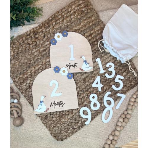 Goose Baby Interchangeable Milestones | Coquette Goose Baby Announcement | Baby Shower Gift | Fresh 48 Baby Photo Prop | Floral Baby Sign |