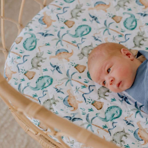 Waterproof Fitted Bassinet Sheet | Wild Dinosaurs