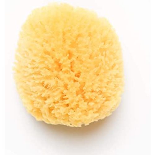 Kyte Baby Natural Sea Sponge, 4 to 5 Inches