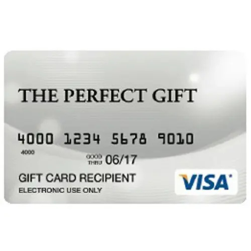 Visa $25 Prepaid Gift Card - English