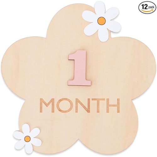 Daisy 3D Baby Monthly Milestone, Wooden Baby Milestone Signs, Monthly Milestone Wood Discs, Baby Milestone Discs (3D Flower)