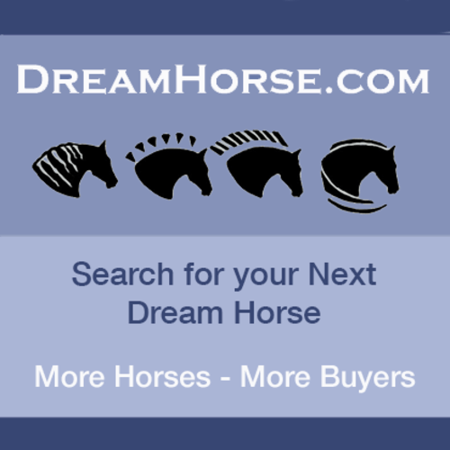 DreamHorse.com - Horses for Sale - Dream Horse Classifieds